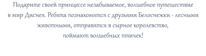 Подарите своей принцессе незабываемое, волшебное путешествие в мир Диснея. Ребята познакомятся с друзьями Белоснежки - лесными животными, отправятся в сырное королевство, поймают волшебных птичек! 